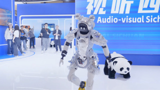 国91精品久久久久9999不卡